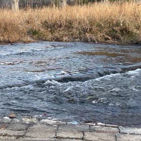 川のせせらぎの音の画像