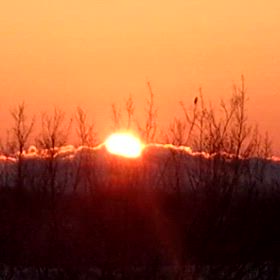 明けましておめでとうございますの画像