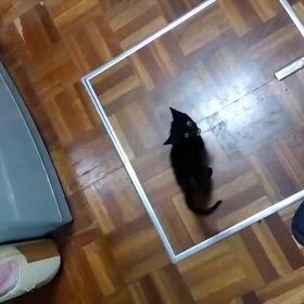 2024/10/05の画像