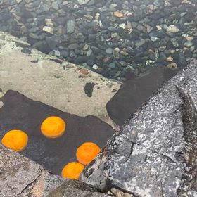 ゆずでほっこりの画像