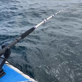 お心折れた次第ですの画像