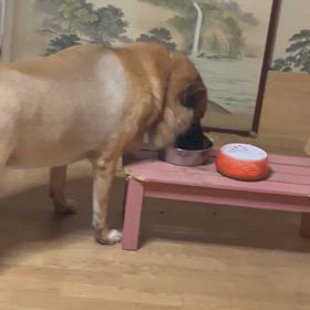 ハルと二人の画像