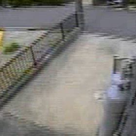 車内のゴミを草でカモフラージュ！の画像