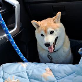 わりと、あることの画像