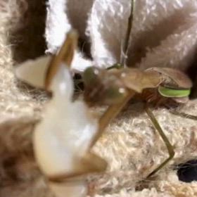 怖がっていた詐欺に遭ってしまった。警察に相談。の画像