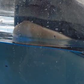 お話した(^o^)の画像