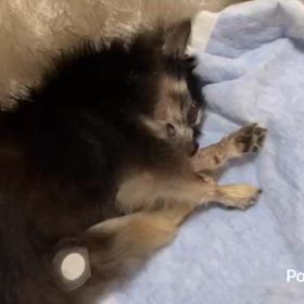 ドキっとするでしょう？の画像