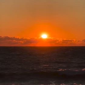 見ているだけで癒しの画像