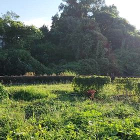 2024年9月9日(月)番外編〈動画　楽しそうに〉の画像