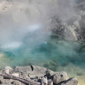 大地のちからの画像