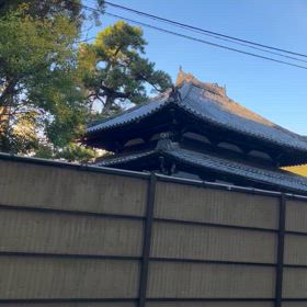 お寺が隣にあるの画像