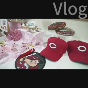 バディチャン予告の画像