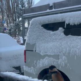 2025  元旦の画像