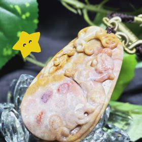 ヒキュウ珊瑚の化石PT✨の画像