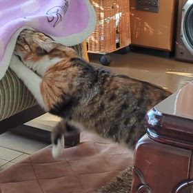 １２月９日（火）の画像