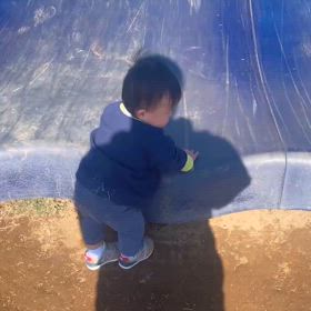 わんぱくの画像