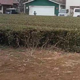 中間点（１区動画）の画像