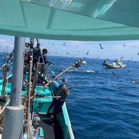 超‼️激アツあったけどの画像