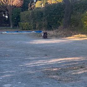 夫にイラッとした事①の画像