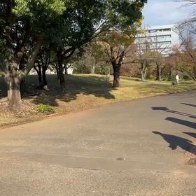 県駅伝選考会(中間点)①の画像