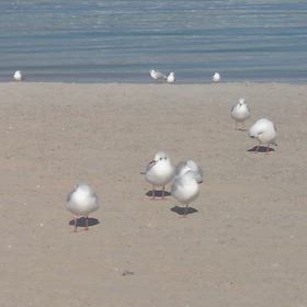 暖かいねー怖いくらいにでも気持ち良しの画像