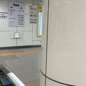 全国生活指導研究協議会（全生研）