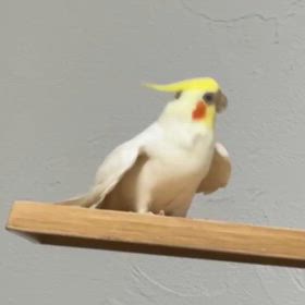 そばにいてくれて　ありがとうの画像