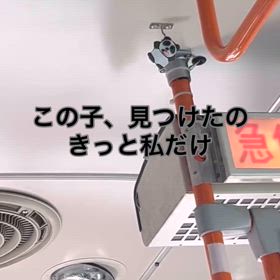 2024/08/16の画像