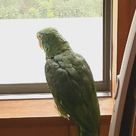 8月8日 渦の道の画像