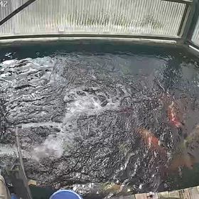 今日の様子の画像