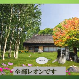 レオン初めてのアルバムの画像