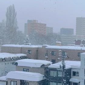 札幌は今日も降ってますの画像