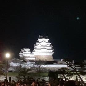 姫路城夜桜は素晴らしいの画像