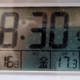 1/16 FM Bettyの画像