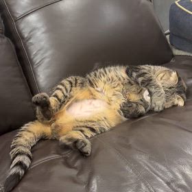 俺をそんなに見つめるなの画像