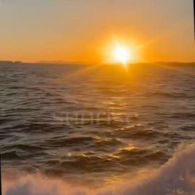 ポッキーの日！！の画像