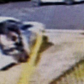 車に乗ってから降りての投げ捨て！Σ('◉⌓◉’)の画像