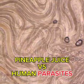 パイナップルジュース　digitalsoldierbackchannel/220976の画像