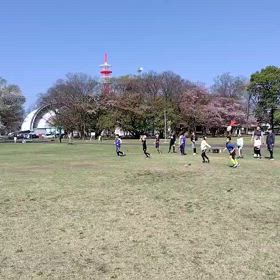 4/12 ジャベリックスロー③の画像