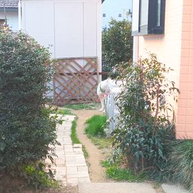 今朝のココ　2026/3/16の画像