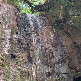 KIN206 白い世界の橋渡し 黄色い戦士　音11の画像