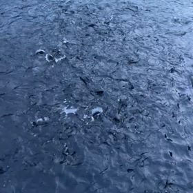 明日、4/8(月)はすいています。の画像