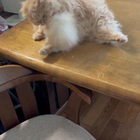 happy birthday‼️の画像