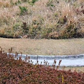 　　　　　　　復讐っての画像