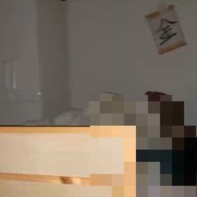 蛍を見たいオーブ　マルちゃんの画像