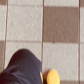 【251005/日】の画像