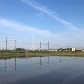 ロンキヤの画像