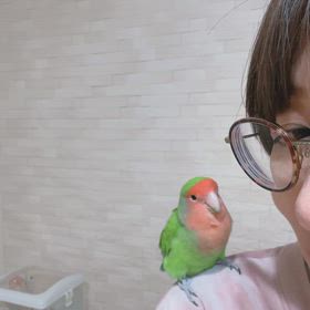 コザクラインコは喋るのか2の画像