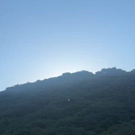 UFO見た！の画像