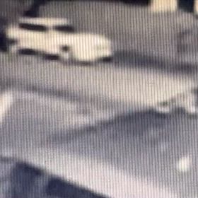 妻も、2頭放して散歩。の画像